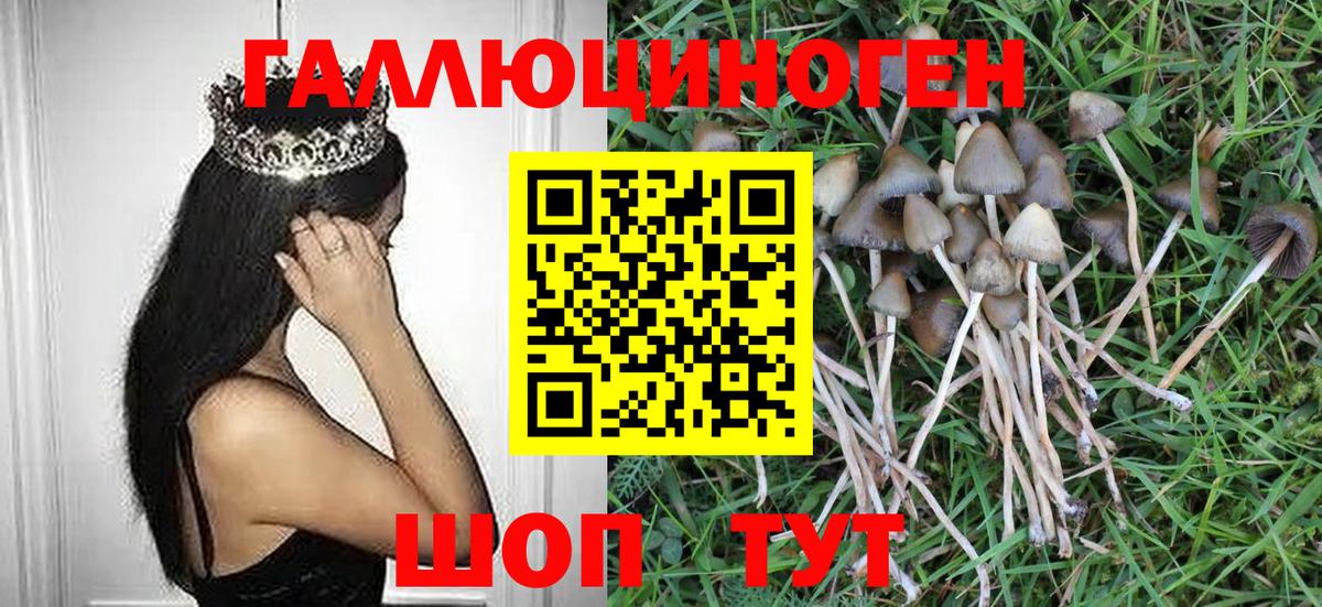 Галлюциногенные грибы Magic Shrooms Батайск