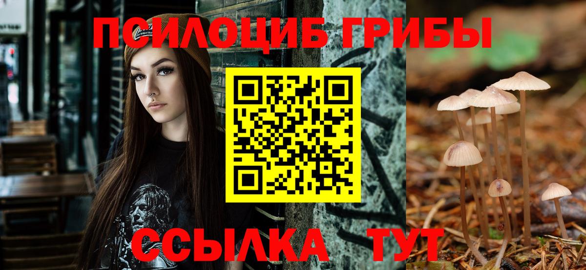Псилоцибиновые грибы MAGIC MUSHROOMS  Вход с VPN  Псилоцибиновые грибы GOLDEN TEACHER  Батайск 